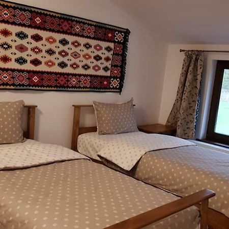 Pensiunea Turistica Valea Mierii Balabancea Екстер'єр фото